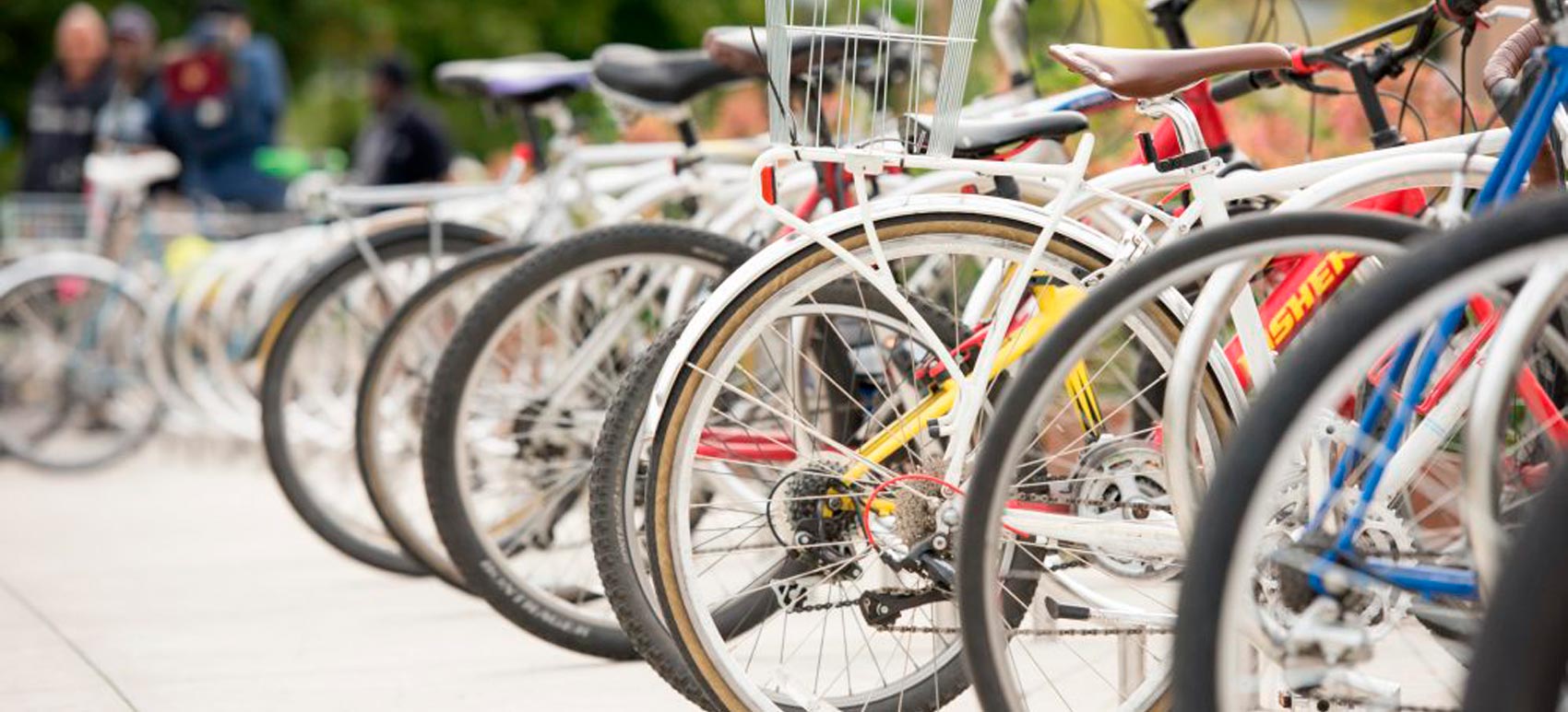 Bike Rentals ad Wezom Company